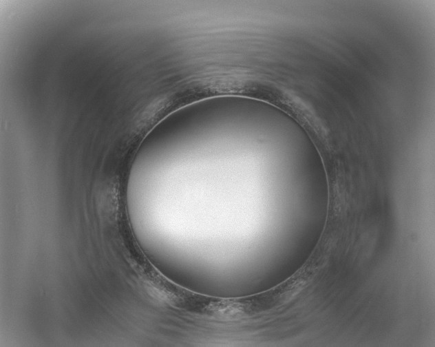 X0000060800113200511171252