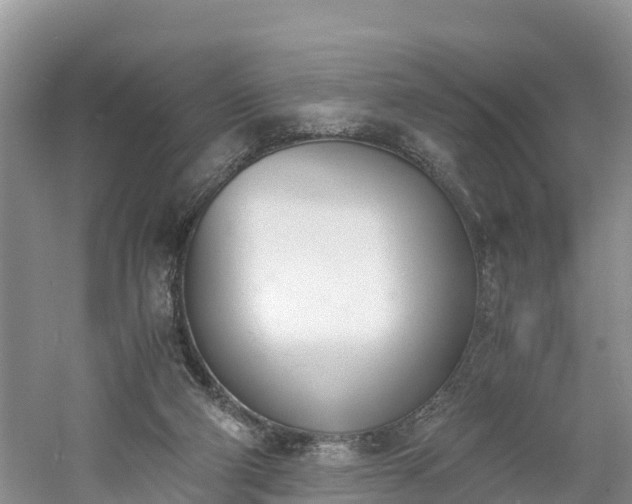 X0000060800114200511171252