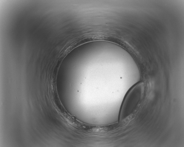 X0000060800117200511171252