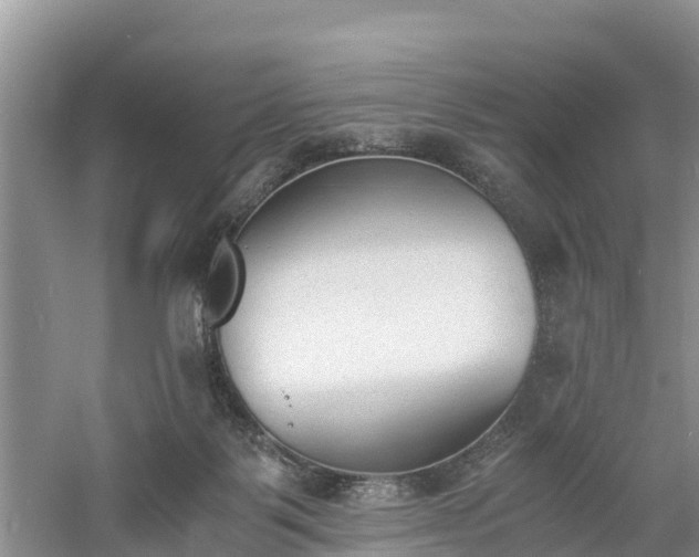 X0000060800123200511171252