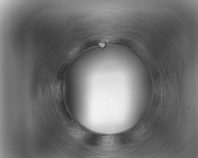 X0000060800127200511171252