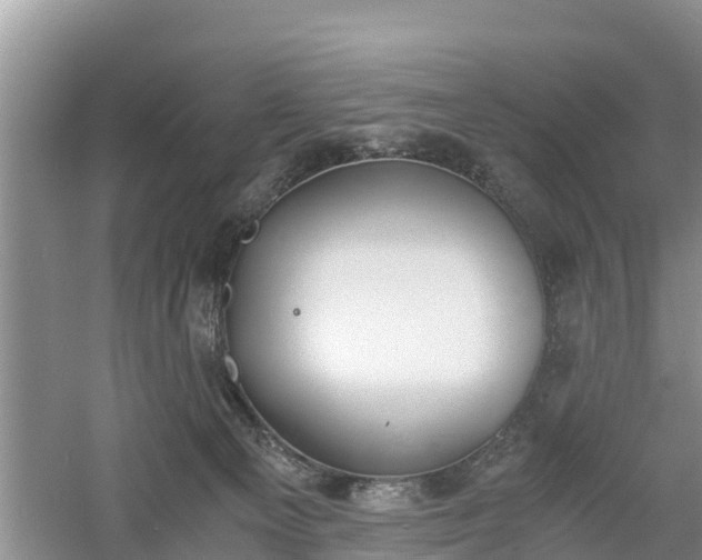 X0000060800129200511171252