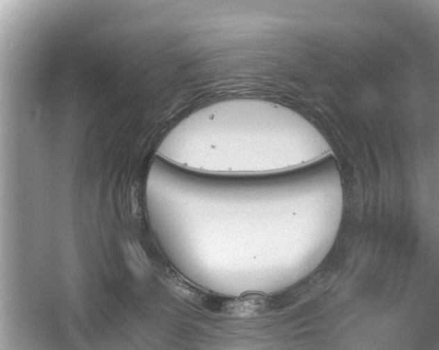 X0000060800131200511171252