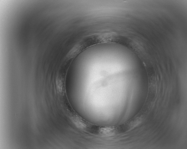 X0000060800139200511171252