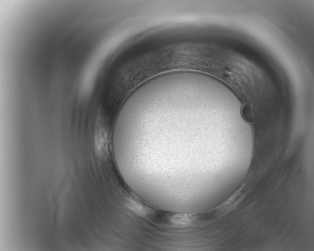 X0000060800142200511171252