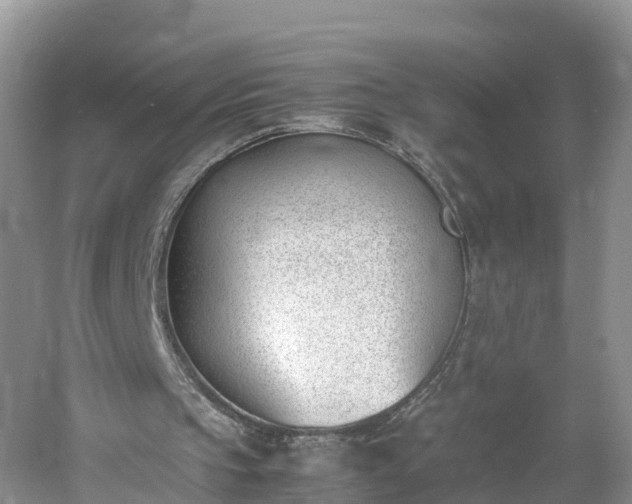 X0000060800145200511171251