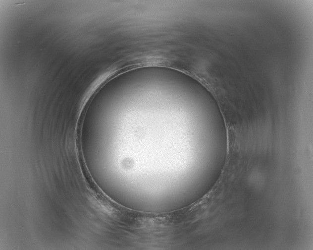 X0000060800147200511171251