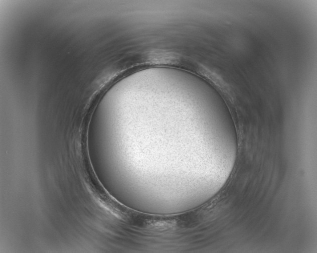 X0000060800155200511171251