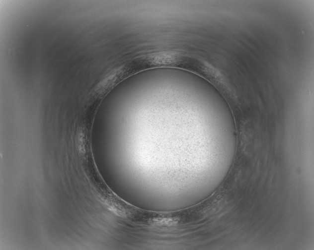 X0000060800161200511171251