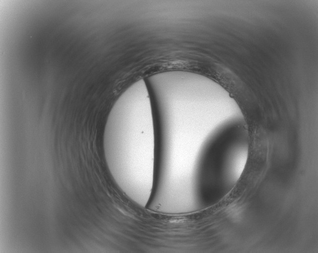 X0000060800173200511171251