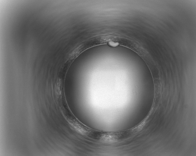 X0000060800174200511171251