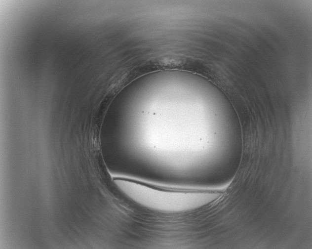 X0000060800176200511171251