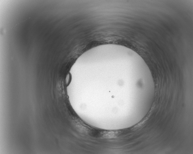 X0000060800182200511171251