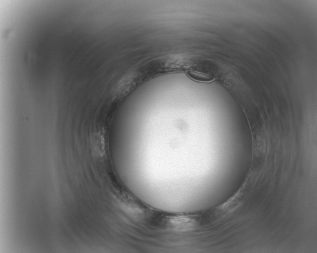 X0000060800183200511171251