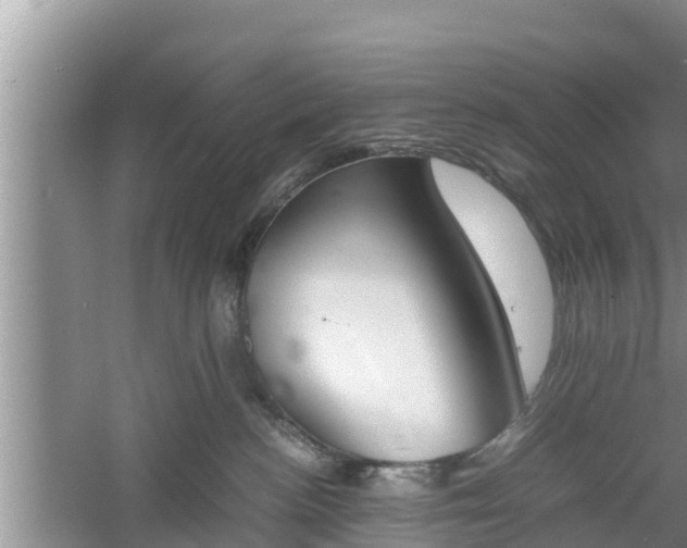 X0000060800188200511171252