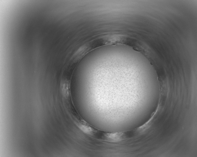 X0000060800191200511171252