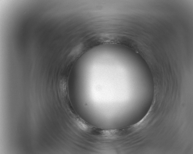 X0000060800192200511171252