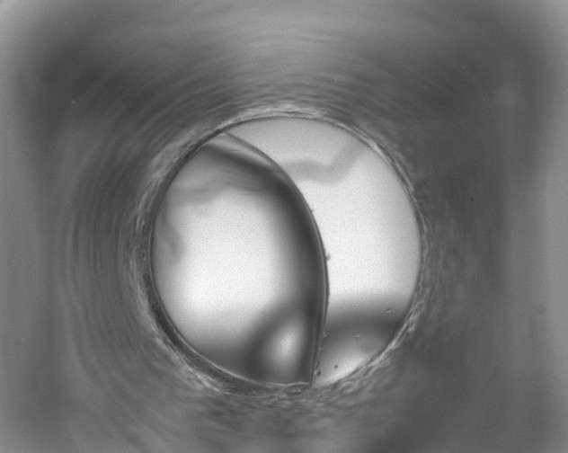 X0000060800193200511171251