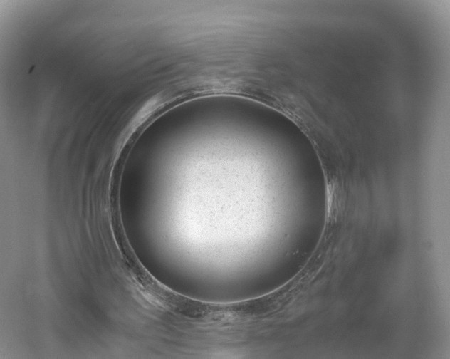 X0000060800195200511171251