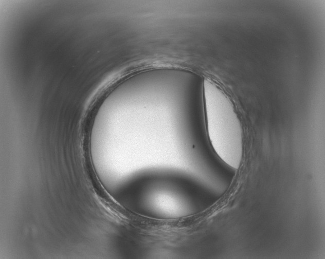 X0000060800197200511171251