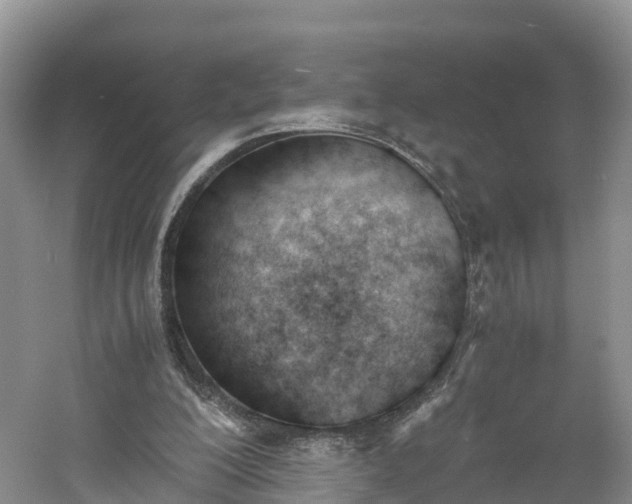 X0000060800200200511171251