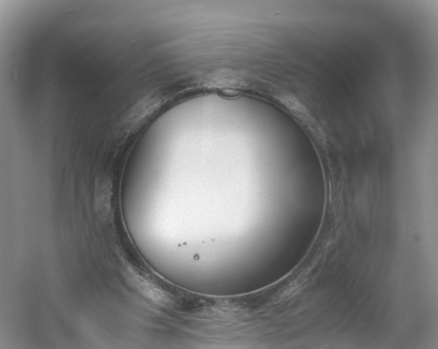 X0000060800201200511171251