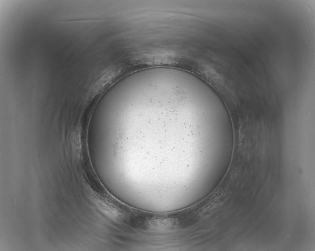 X0000060800202200511171251