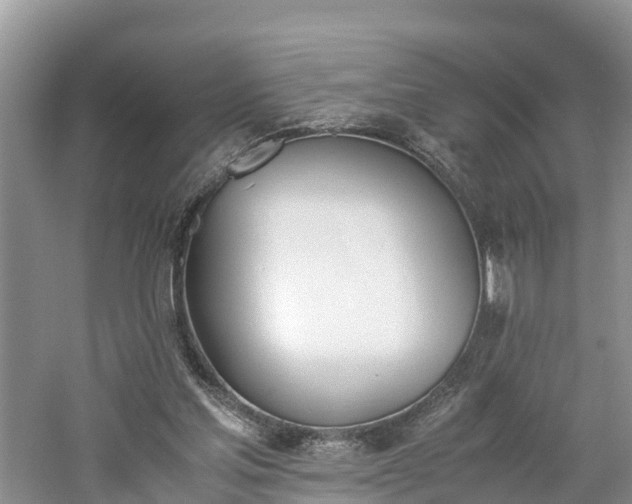 X0000060800205200511171251