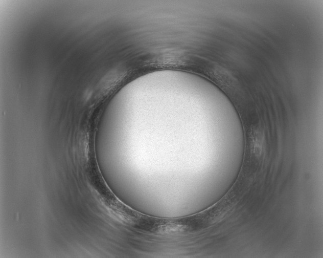 X0000060800206200511171251