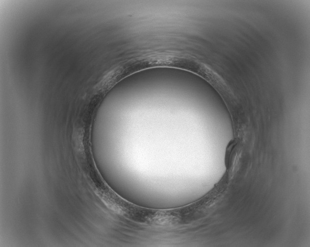 X0000060800209200511171250