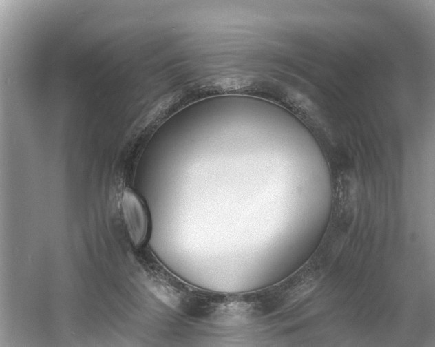 X0000060800212200511171250