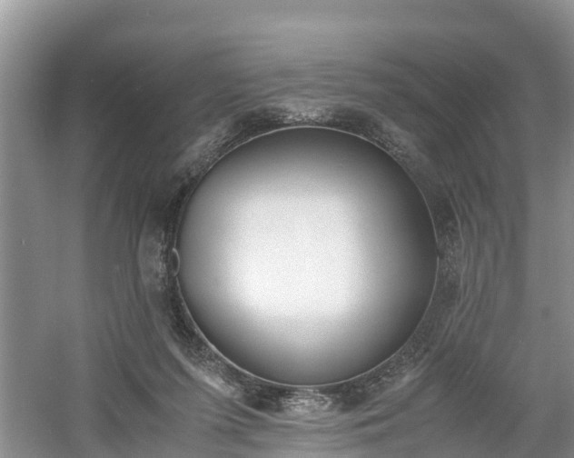 X0000060800215200511171250