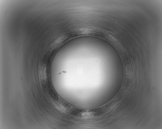 X0000060800216200511171250