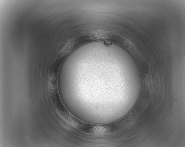 X0000060800218200511171250