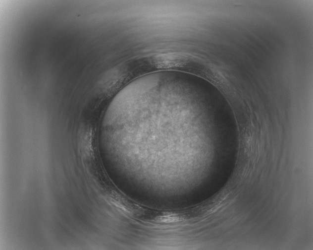 X0000060800219200511171250