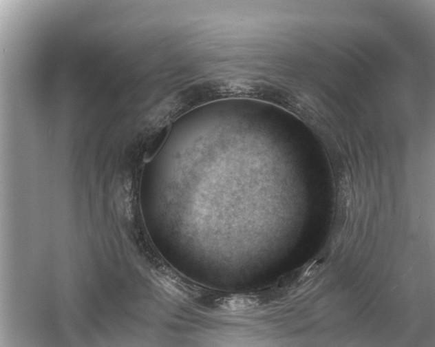 X0000060800223200511171250