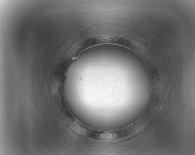 X0000060800225200511171250