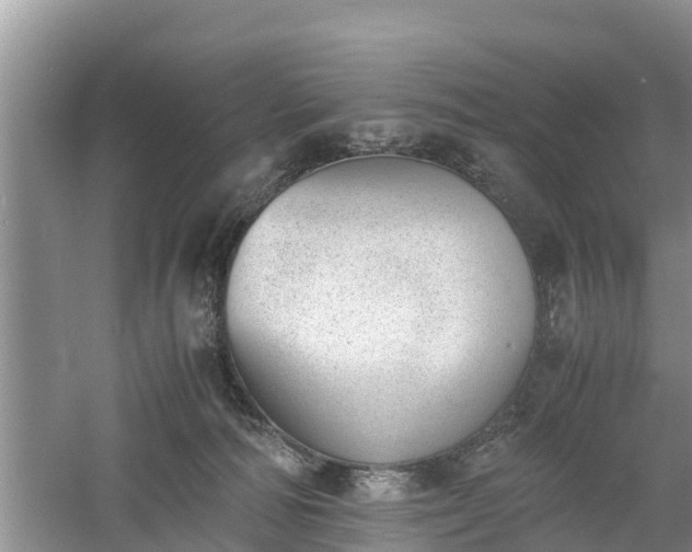 X0000060800226200511171250