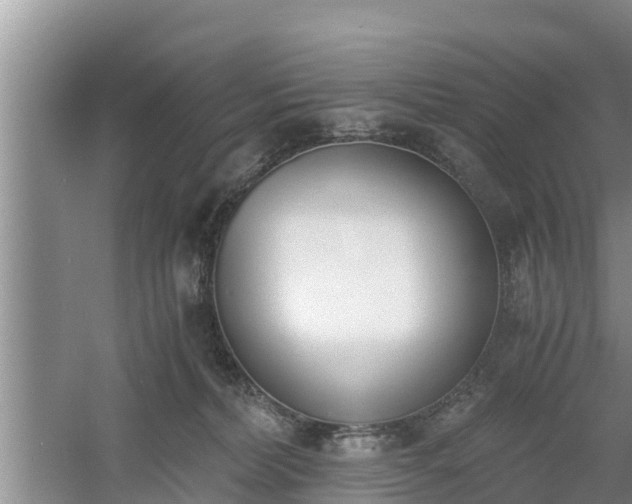 X0000060800228200511171250