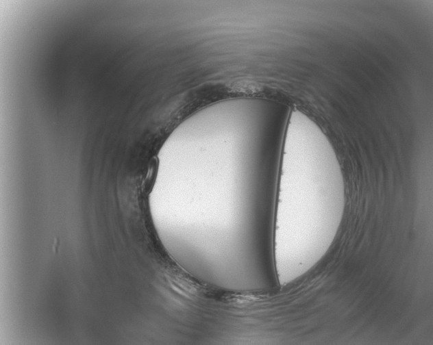 X0000060800229200511171250