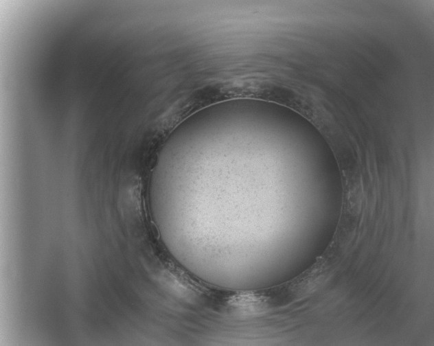 X0000060800231200511171250