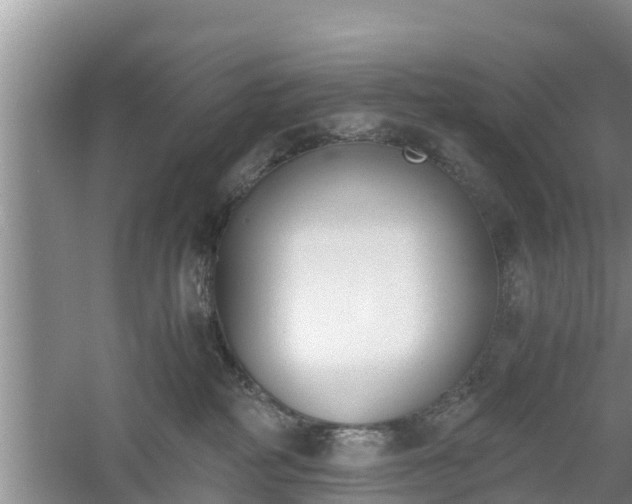 X0000060800234200511171250