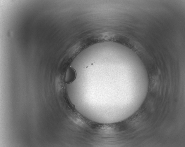 X0000060800236200511171250