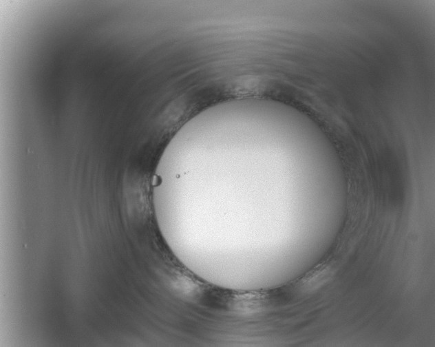 X0000060800240200511171250