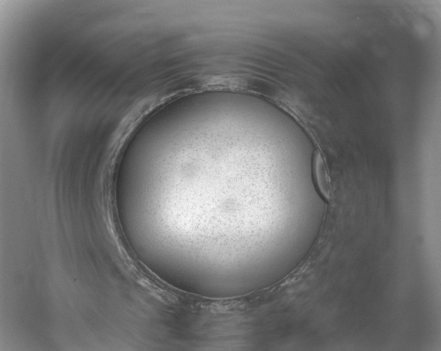 X0000060800241200511171249