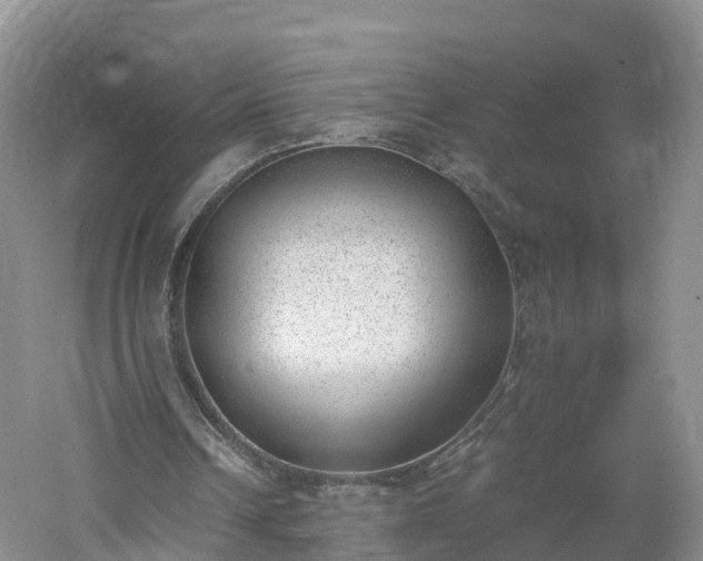 X0000060800242200511171249