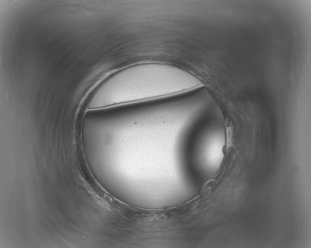 X0000060800243200511171249