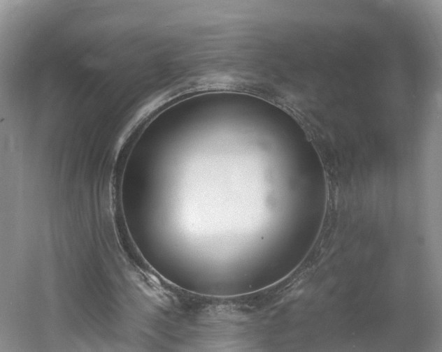 X0000060800244200511171249