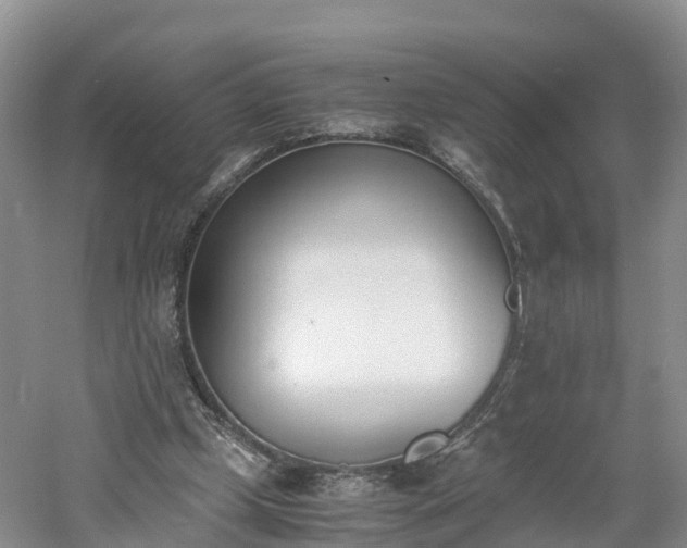 X0000060800249200511171249