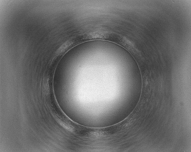 X0000060800250200511171249